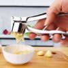 Stainless Steel Garlic Crusher – Heavy-Duty 304 Stainless Steel Garlic Press for Effortless Mincing of Garlic, Ginger, and Nuts | Rustproof, Ergonomic, and Dishwasher Safe Kitchen Tool